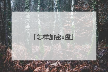 怎样加密u盘