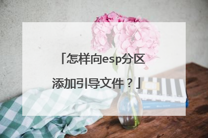 怎样向esp分区添加引导文件？