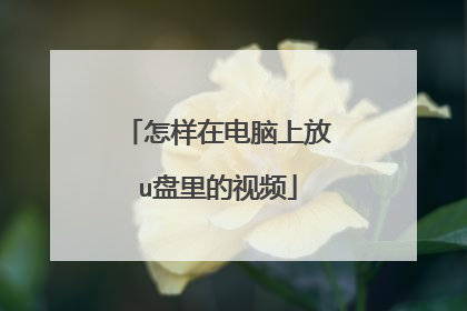 怎样在电脑上放u盘里的视频