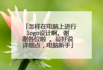 怎样在电脑上进行logo设计啊。谢谢各位啦 。最好说详细点，电脑新手