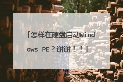 怎样在硬盘启动Windows PE?谢谢!!
