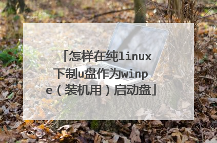 怎样在纯linux下制u盘作为winpe(装机用)启动盘