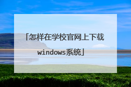怎样在学校官网上下载windows系统