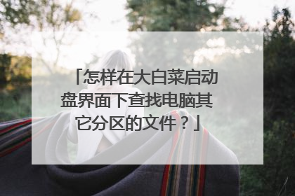 怎样在大白菜启动盘界面下查找电脑其它分区的文件?