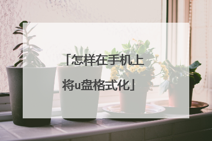 怎样在手机上将u盘格式化