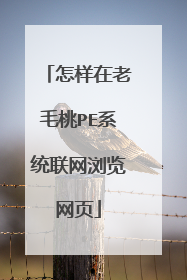 怎样在老毛桃PE系统联网浏览网页