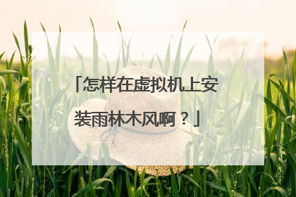 怎样在虚拟机上安装雨林木风啊?