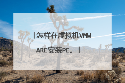 怎样在虚拟机VMWARE安装PE。