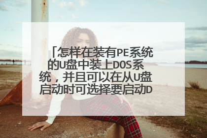 怎样在装有PE系统的U盘中装上DOS系统,并且可以在从U盘启动时可选择要启动DOS还是PE?