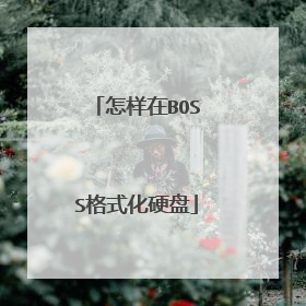 怎样在BOSS格式化硬盘