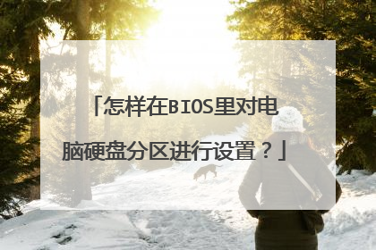 怎样在BIOS里对电脑硬盘分区进行设置?