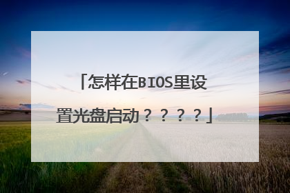 怎样在BIOS里设置光盘启动????