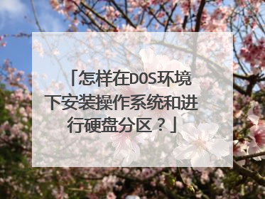 怎样在DOS环境下安装操作系统和进行硬盘分区?