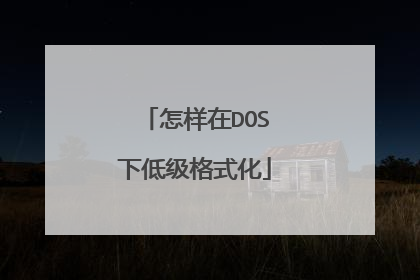 怎样在DOS下低级格式化