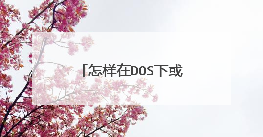 怎样在DOS下或用U盘重装系统?