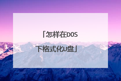 怎样在DOS下格式化U盘