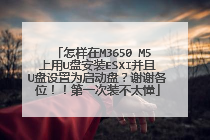 怎样在M3650 M5上用U盘安装ESXI并且U盘设置为启动盘？谢谢各位！！第一次装不太懂