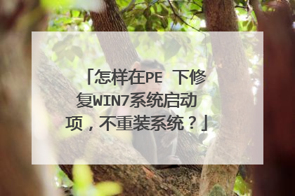 怎样在PE 下修复WIN7系统启动项，不重装系统？