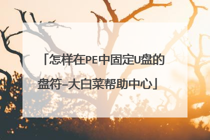 怎样在PE中固定U盘的盘符–大白菜帮助中心