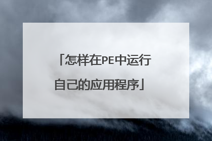 怎样在PE中运行自己的应用程序