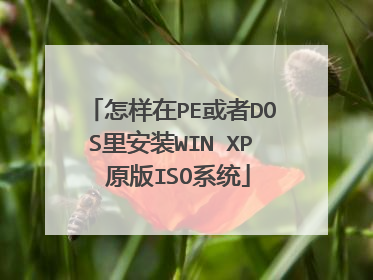 怎样在PE或者DOS里安装WIN XP 原版ISO系统
