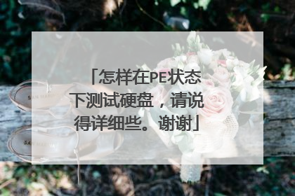 怎样在PE状态下测试硬盘，请说得详细些。谢谢