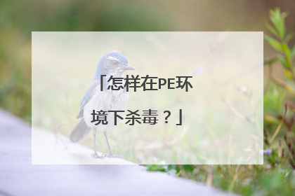 怎样在PE环境下杀毒？