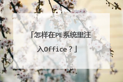 怎样在PE系统里注入Office？