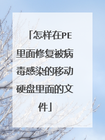 怎样在PE里面修复被病毒感染的移动硬盘里面的文件