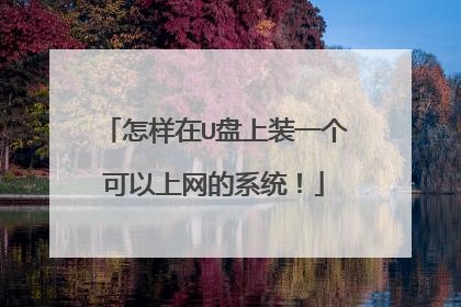 怎样在U盘上装一个可以上网的系统!