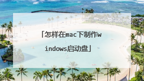 怎样在mac下制作windows启动盘