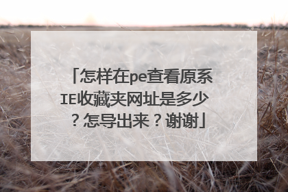怎样在pe查看原系IE收藏夹网址是多少?怎导出来?谢谢