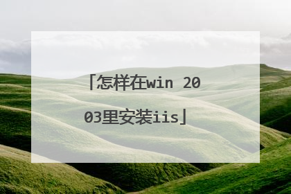怎样在win 2003里安装iis