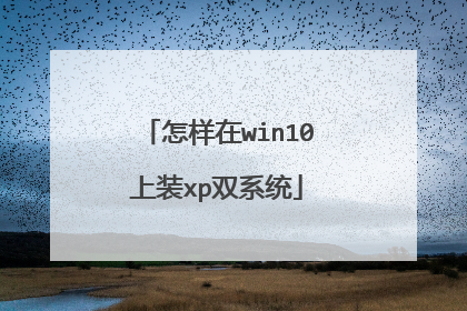 怎样在win10上装xp双系统