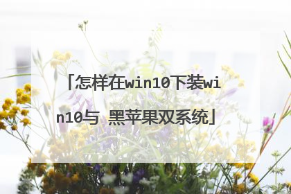 怎样在win10下装win10与 黑苹果双系统