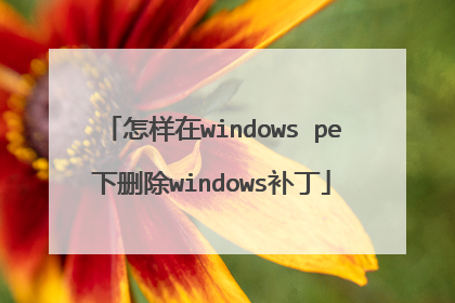 怎样在windows pe下删除windows补丁