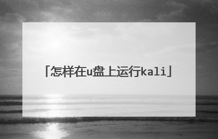 怎样在u盘上运行kali