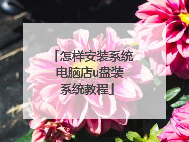 怎样安装系统 电脑店u盘装系统教程