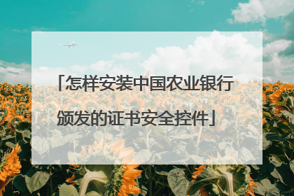 怎样安装中国农业银行颁发的证书安全控件