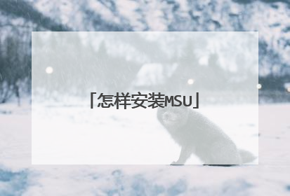 怎样安装MSU