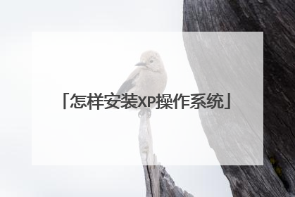 怎样安装XP操作系统