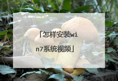 怎样安装win7系统视频
