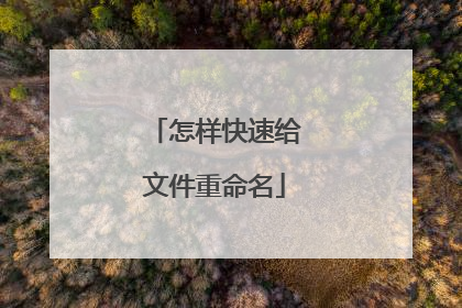 怎样快速给文件重命名