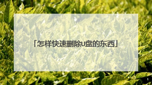 怎样快速删除U盘的东西