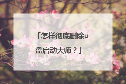 怎样彻底删除u盘启动大师？