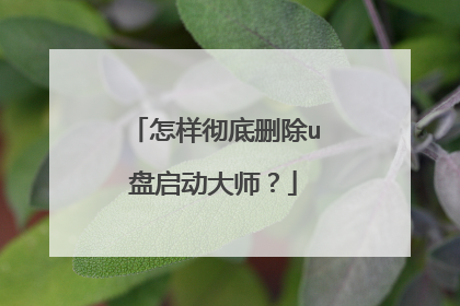 怎样彻底删除u盘启动大师?