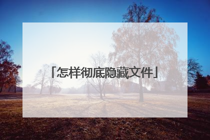 怎样彻底隐藏文件