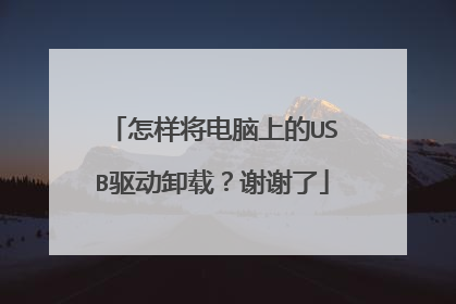 怎样将电脑上的USB驱动卸载？谢谢了