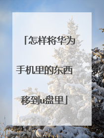 怎样将华为手机里的东西移到u盘里