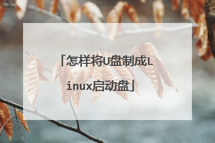 怎样将U盘制成Linux启动盘